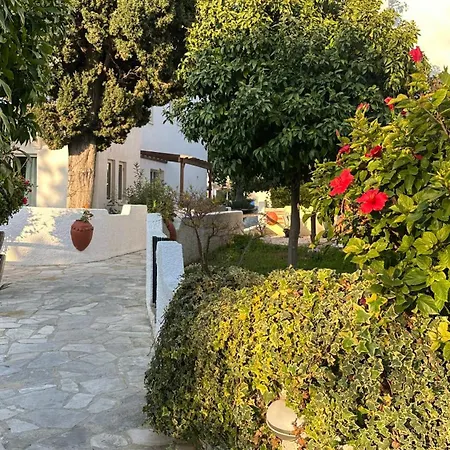 Gardens * Paphos